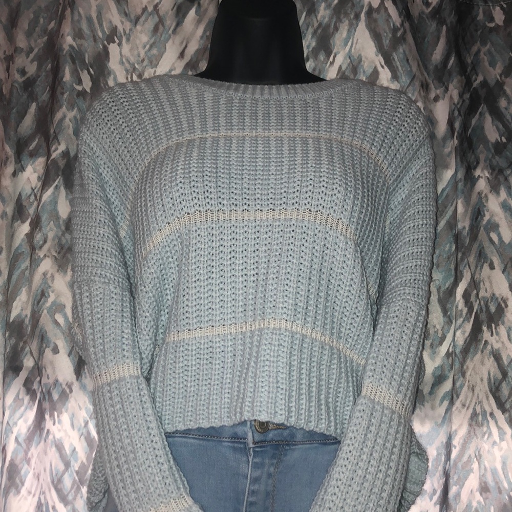 Cropped Charlotte Russe Sweater